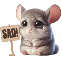 Chinchilla Daily Phrases