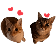 Silly Cats- Meowzilla & Gedorah