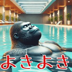 Gorilla x Swimming! Zaban in the pool!