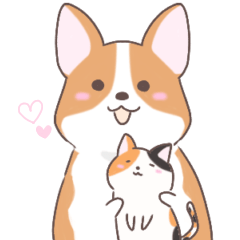 Corgi who loves cats