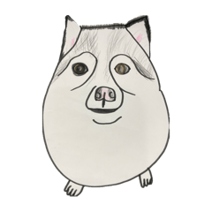 KONATSU_20241126190748