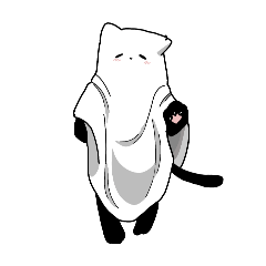 Blanket Cat_