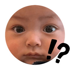 mimi_20241126223120