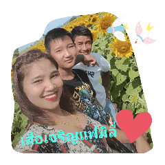 noowaen_20241127123424