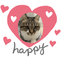 tamayura_20241126224514