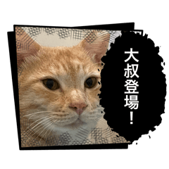 Melon瓜瓜初登場