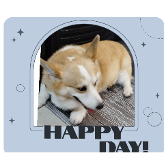 聖誕節風格貼圖