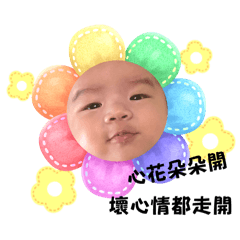 茼萵寶寶NO1