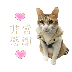 阿漿的家家酒
