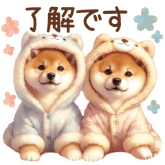 pastel color shiba inu