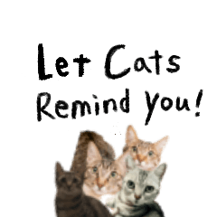 Let cats remind you