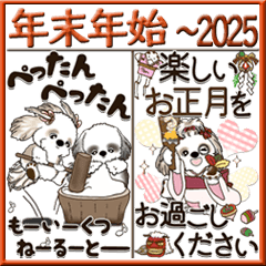 [BIG] Shih Tzu (New year holiday season)