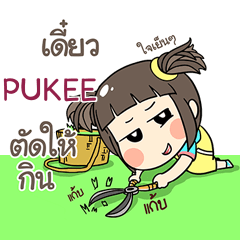 PUKEE kao-soi e