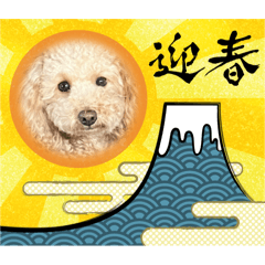 Samkj_20241127221312