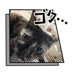 hayato_20241127223849
