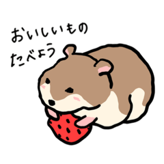 hamster japanese mofupu