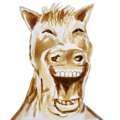 Horse Coins