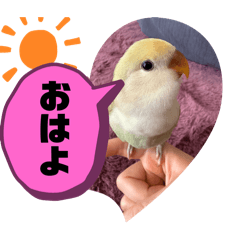 Nageo_20241128010632