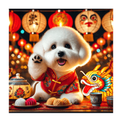 Lantern Festival Bichon Tenerife A