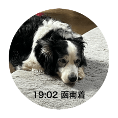 mom_20241128122808