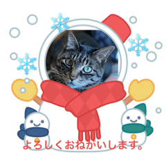 kayo_20241127225924