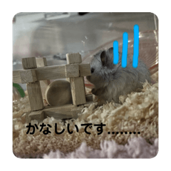 anene_20241128000704