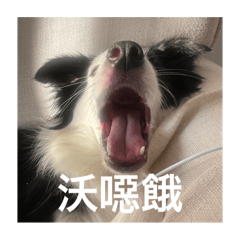 小七正方形