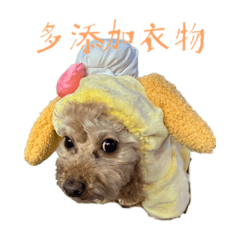 不知道第幾個阿錢版本