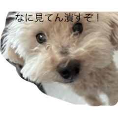 English_20241128175147