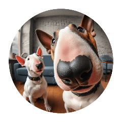 Forarrangement] FisheyelensBull Terrier1