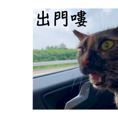 大家有喜歡再買：）
