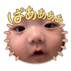 ayame_20241128