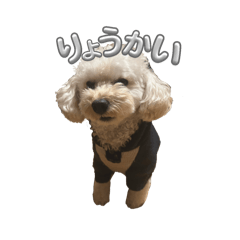 Mona_20241129001008