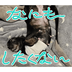 RinTon_20241129000011