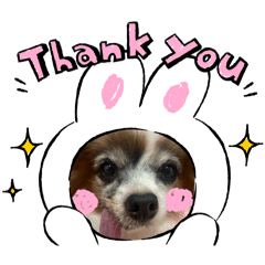 hirochin_20241129132328