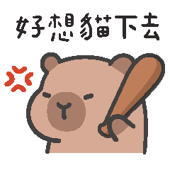 Capybara_clueless bro 1