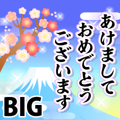 Resale-OTONA-OSYOGATSU-BIG