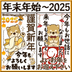 [BIG] Shiba(New year holiday season)