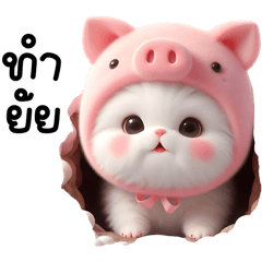 Cute pink pig cat