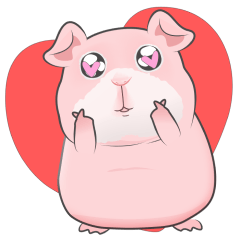 Little Pink guinea pig