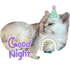 Cream_20241129151203