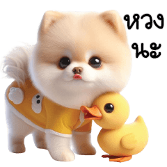 Ducky Pom cute