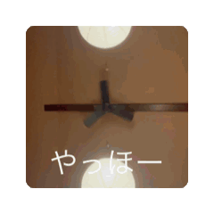 Kameo_20241129145004