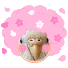 Moechi_20241129172043