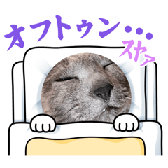 Kong_20241130002104
