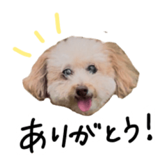 hikari_20241129233155