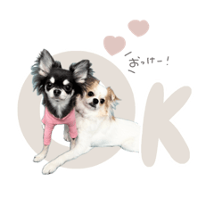 nonnoon_20241130112749