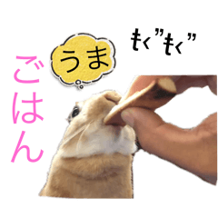 Hitomi_20241129205104