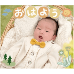 Hikari_20241129222523