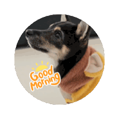 COCO_20241130192150